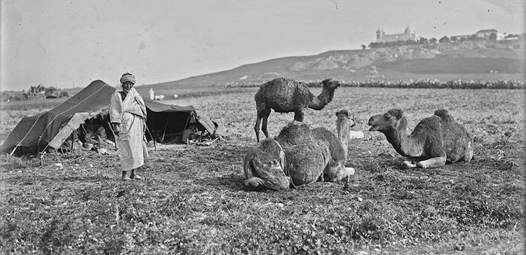 استفاده استعماری از کشاورزی تونس